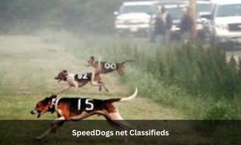 Exploring SpeedDogs net Classifieds